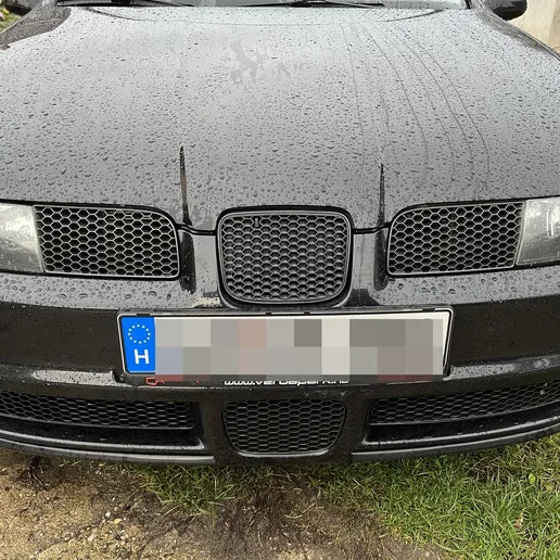 Seat Leon 1M Grilles bas nid d'abeilles